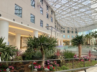 Gaylord Hotel